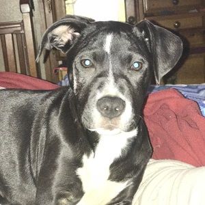 Meet your Posher, Amber